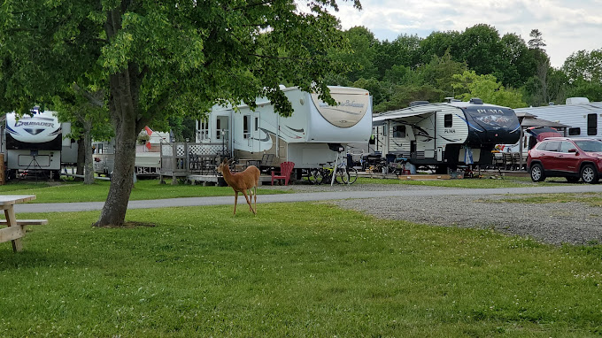 Kiwanis Oceanfront Camping, St. Andrews